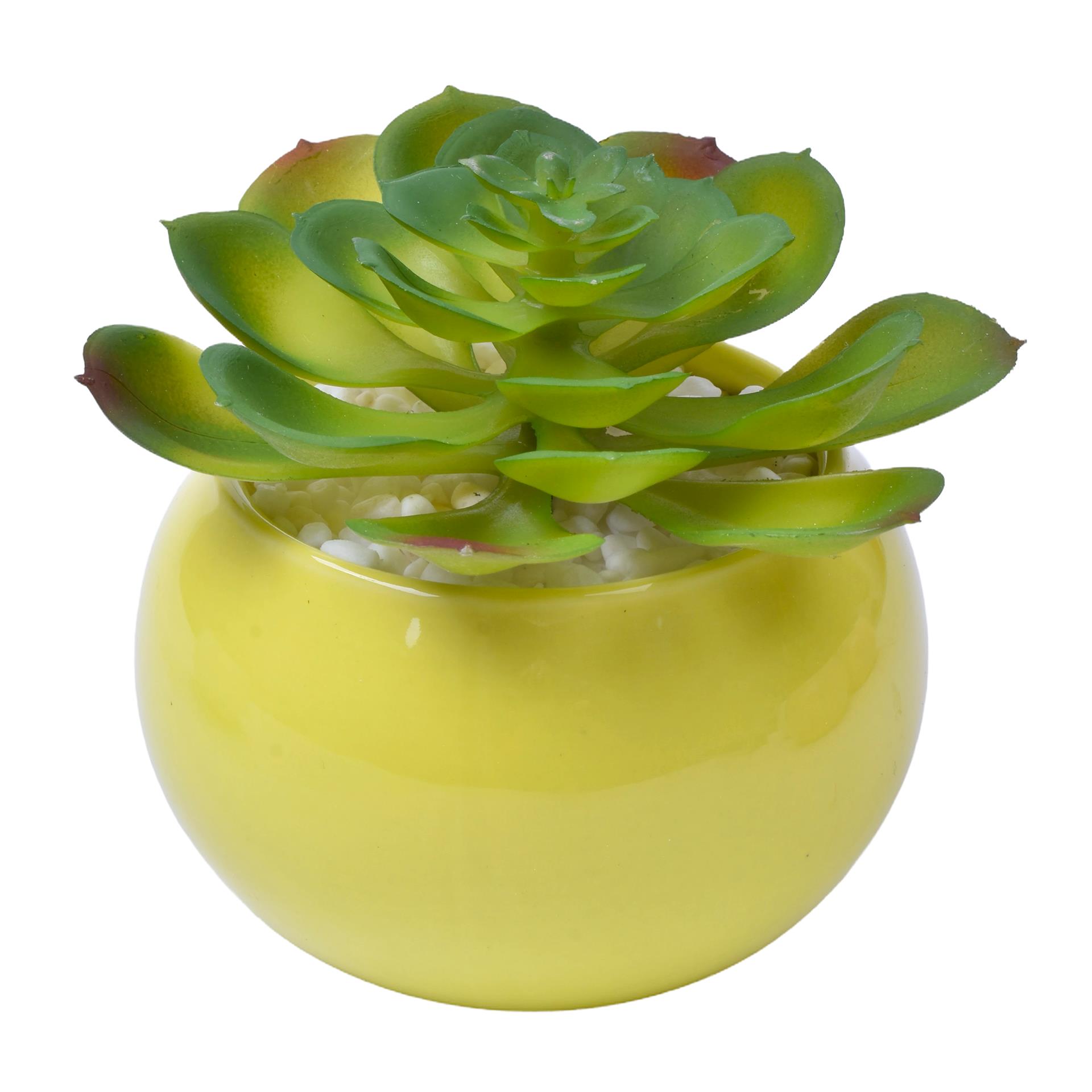 VASO C/CACTO 2070-42-01 CX48 VASO C/CACTO 2070-42-01 CX48
