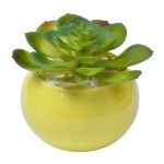 VASO C/CACTO 2070-42-01 CX48