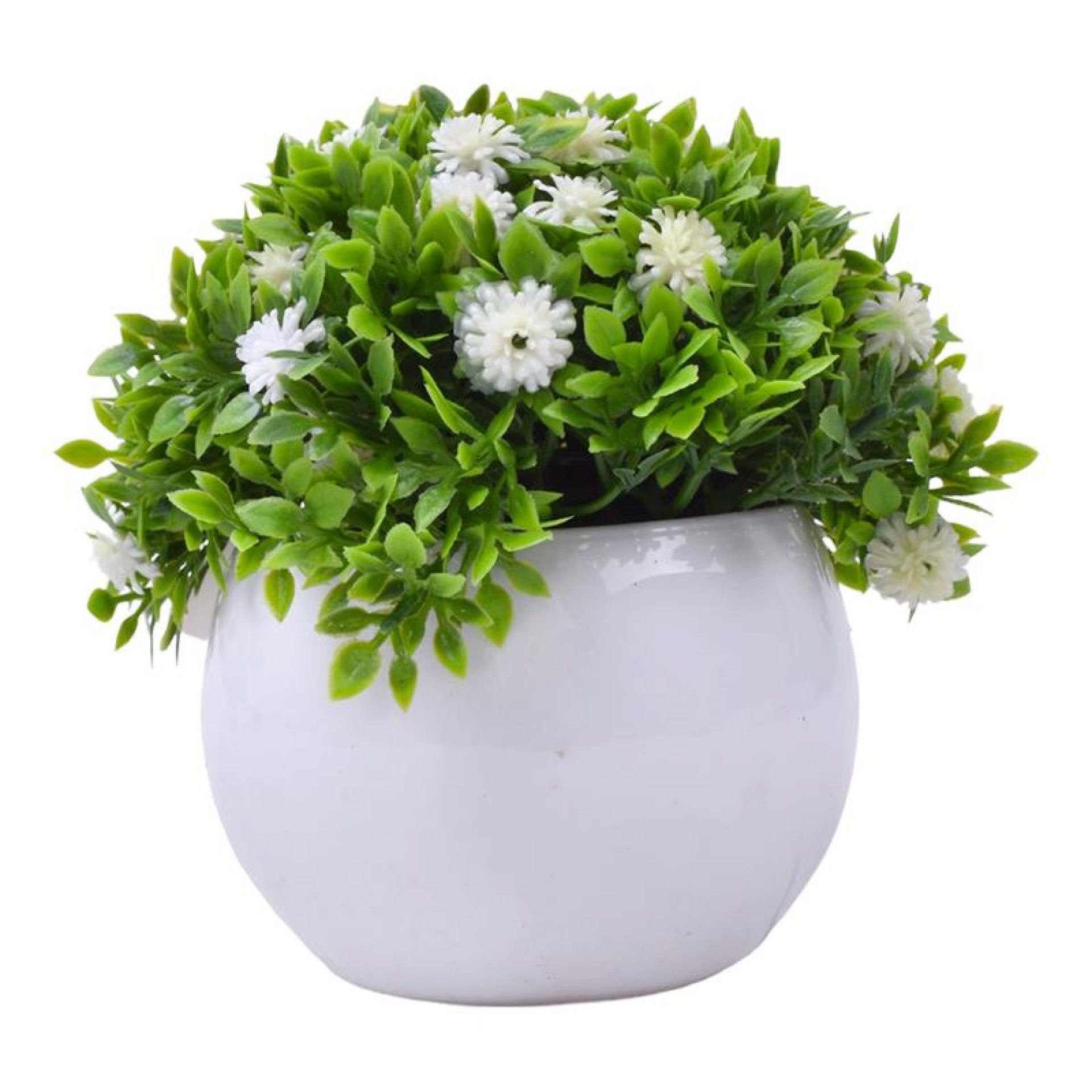 PLANTA C/ VASO 2440-020 CX144 PLANTA C/ VASO 2440-020 CX144