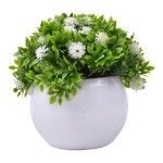 PLANTA C/ VASO 2440-020 CX144