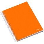 ESCOLA CADERNO ESP.A4 DISCIP.120FLS