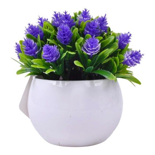PLANTA C/ VASO 2440-023 CX144
