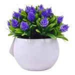 PLANTA C/ VASO 2440-023 CX144