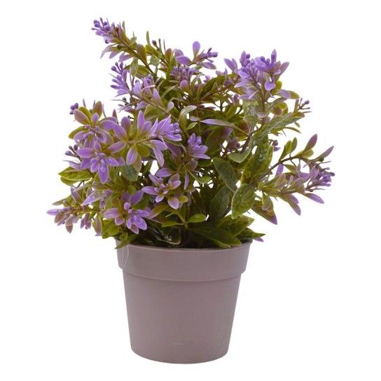 PLANTA C/ VASO 2440-015 CX144 PLANTA C/ VASO 2440-015 CX144