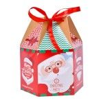 CAIXA NATAL 203-045 CX720