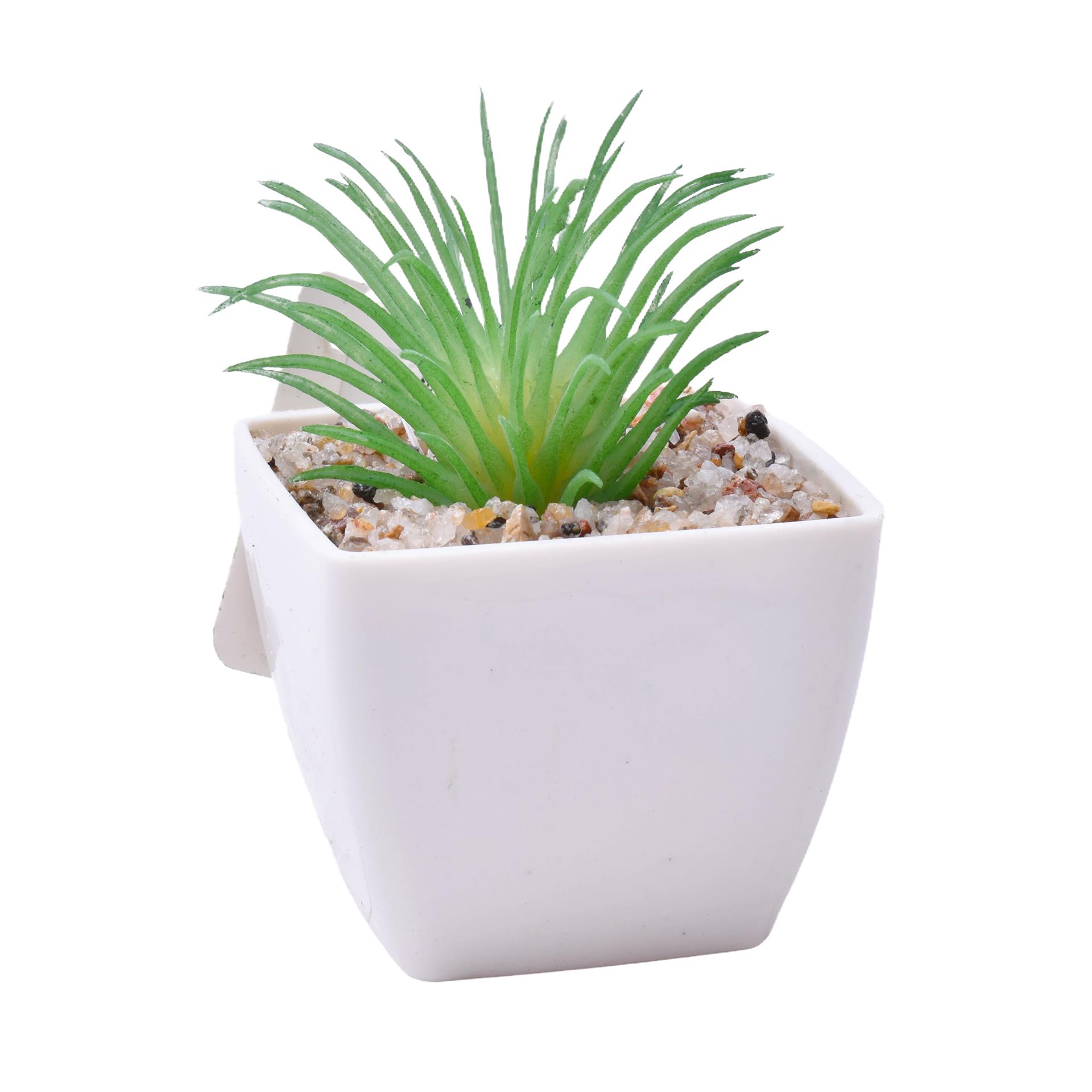 PLANTA C/VASO 6X6X5CM 2884-007-02 CX192 PLANTA C/VASO 6X6X5CM 2884-007-02 CX192