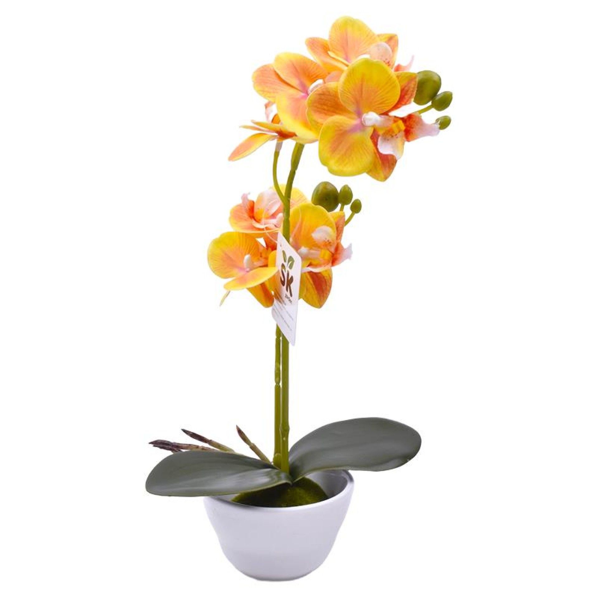 VASO C/FLOR 9X32 2439-035 CX72 VASO C/FLOR 9X32 2439-035 CX72