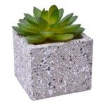 VASO C/CATO 6.4X6.3X5.2CM 2639-205 CX96