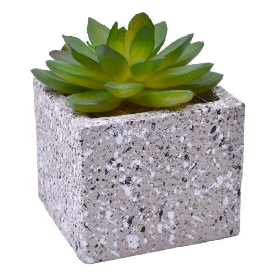 VASO C/CATO 6.4X6.3X5.2CM 2639-205 CX96 VASO C/CATO 6.4X6.3X5.2CM 2639-205 CX96