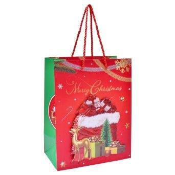 SACO PAPEL 23X18X10CM 2994-051 CX360