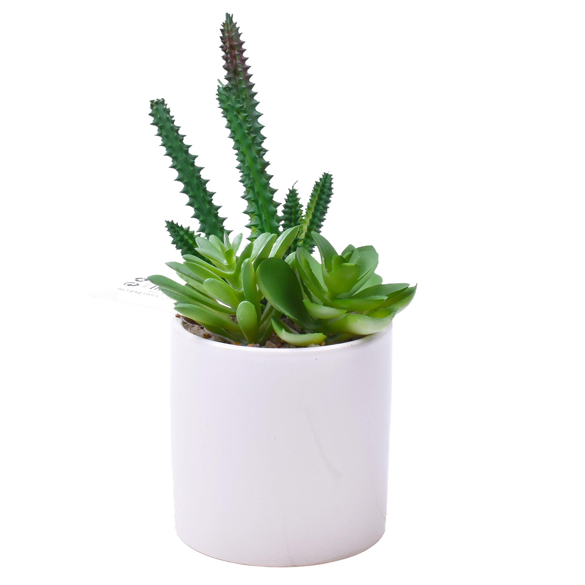 PLANTA C/VASO 8X8CM 2884-009 CX96 PLANTA C/VASO 8X8CM 2884-009 CX96