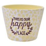 VASO 13X10 2675-041 CX48