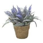 VASINHO PLANTA PLASTICO VASINHO PLANTA PLASTICO