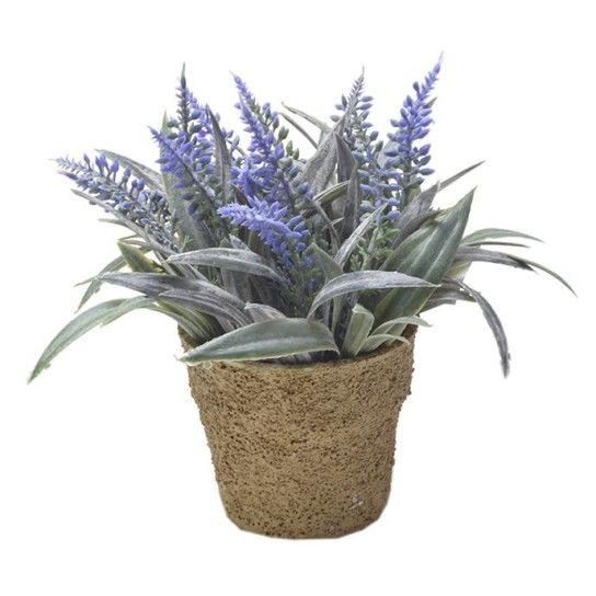 VASINHO PLANTA PLASTICO VASINHO PLANTA PLASTICO