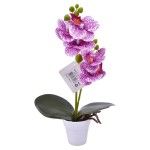 VASO C/FLOR 6X26 2439-028 CX144