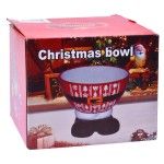 TIGELA NATAL 2581-061 CX24 TIGELA NATAL 2581-061 CX24