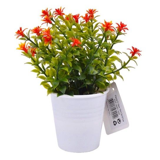 PLANTA C/ VASO 2647-004 CX144 PLANTA C/ VASO 2647-004 CX144