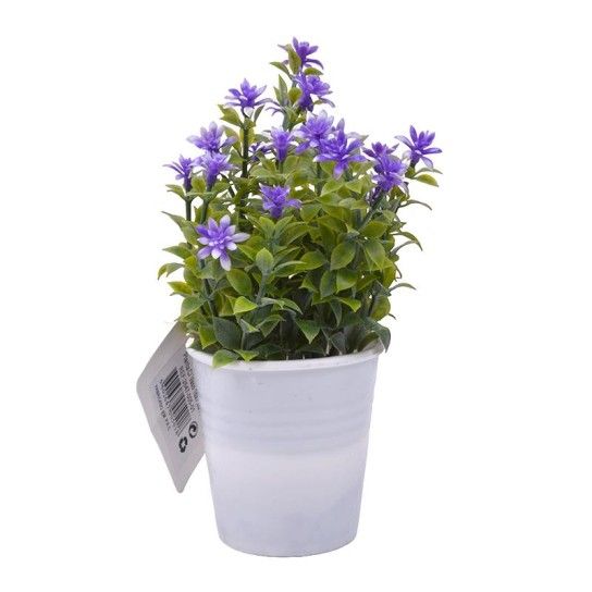 PLANTA C/ VASO 2647-005-01 CX144 PLANTA C/ VASO 2647-005-01 CX144