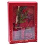 SET AMBIENTADOR 100ML+VELAS 171726