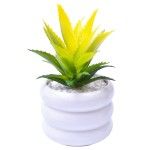 VASO C/CACTO 8,5X7 2070-43 CX48