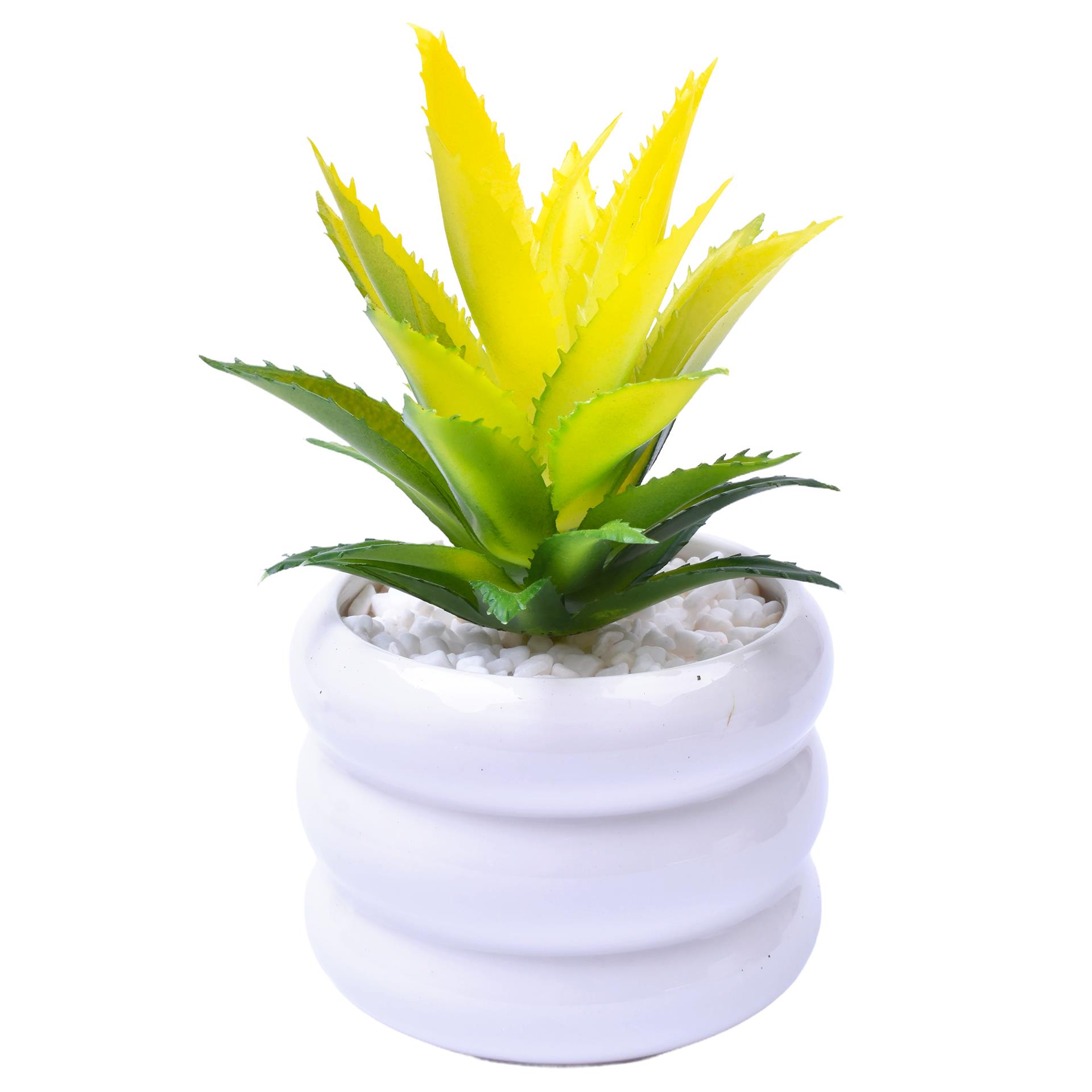 VASO C/CACTO 8,5X7 2070-43 CX48 VASO C/CACTO 8,5X7 2070-43 CX48