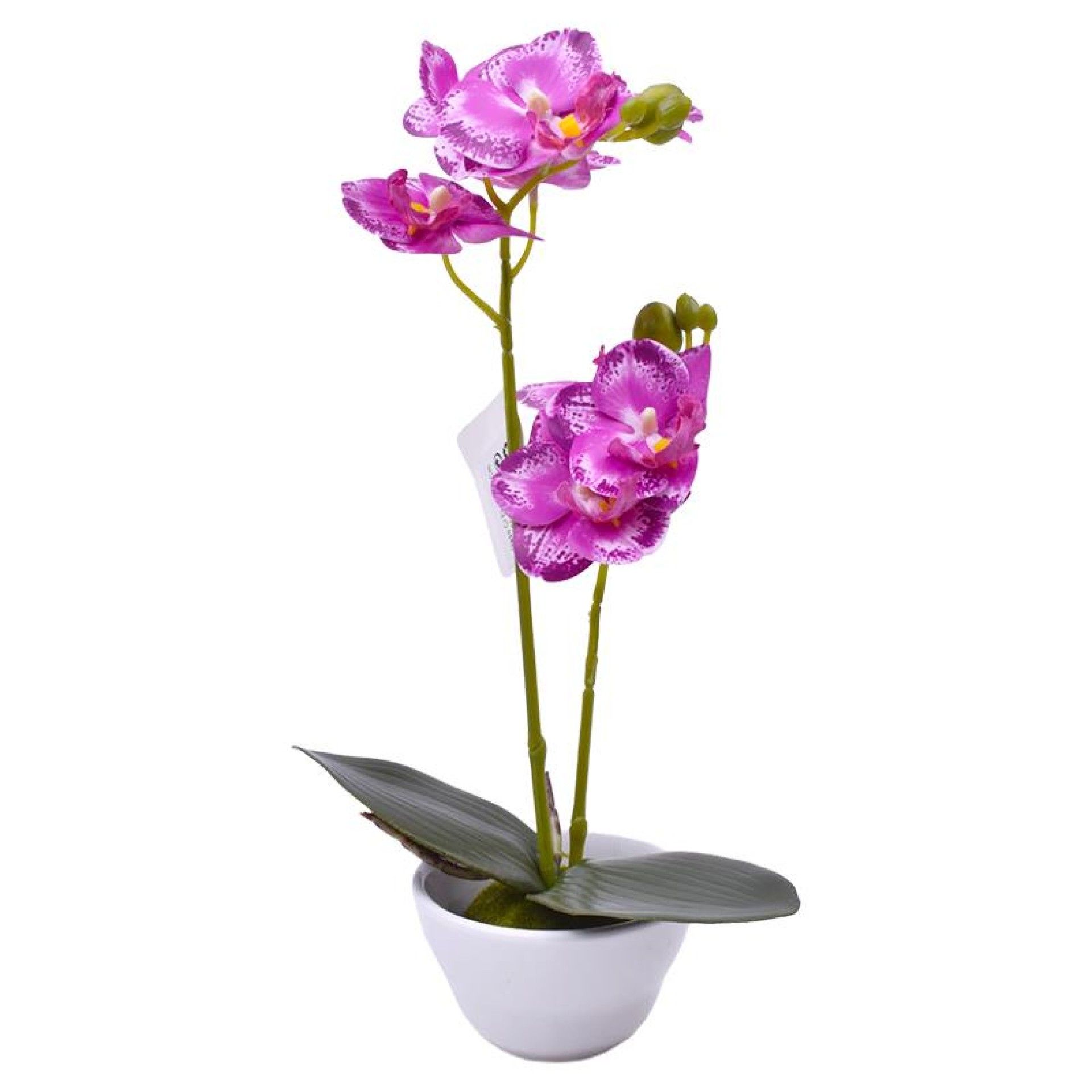VASO C/FLOR 9X32 2439-035 CX72 VASO C/FLOR 9X32 2439-035 CX72
