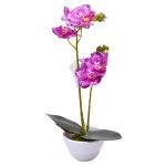 VASO C/FLOR 9X32 2439-035 CX72 VASO C/FLOR 9X32 2439-035 CX72