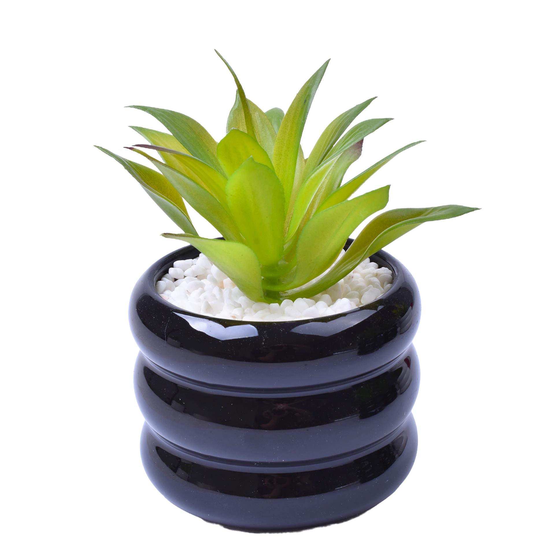 VASO C/CACTO 8,5X7 2070-43 CX48 VASO C/CACTO 8,5X7 2070-43 CX48