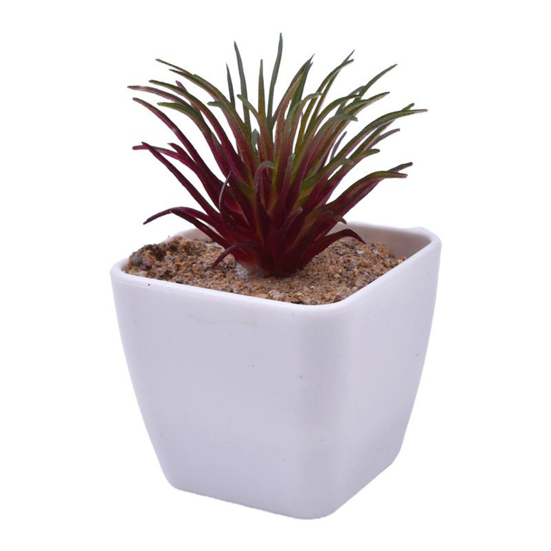 VASO C/CATO 4.5X4.5X4.8CM 2639-000 CX240 VASO C/CATO 4.5X4.5X4.8CM 2639-000 CX240