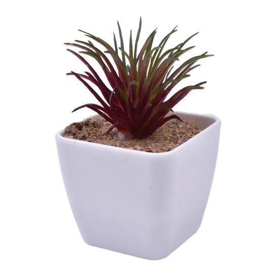 VASO C/CATO 4.5X4.5X4.8CM 2639-000 CX240 VASO C/CATO 4.5X4.5X4.8CM 2639-000 CX240
