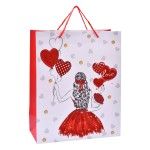 SACO 23X18X10CM 3025-002-01 CX360