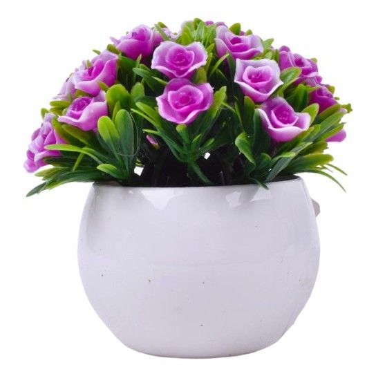 PLANTA C/ VASO 2440-022 CX144 PLANTA C/ VASO 2440-022 CX144