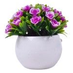 PLANTA C/ VASO 2440-022 CX144