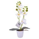 VASO C/FLOR 7X31 2439-032 CX72