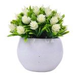 PLANTA C/ VASO 2440-023 CX144