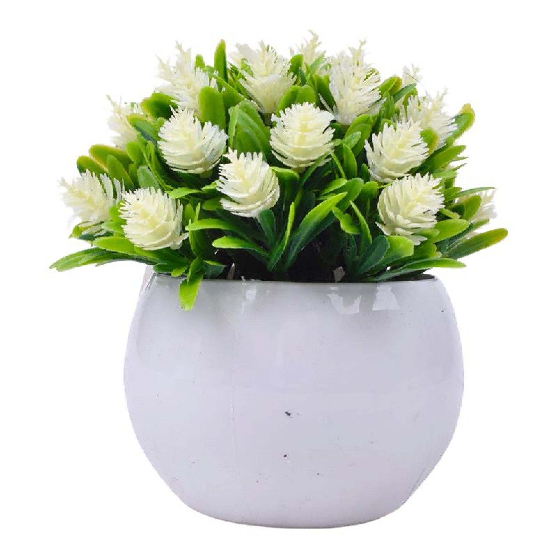 PLANTA C/ VASO 2440-023 CX144