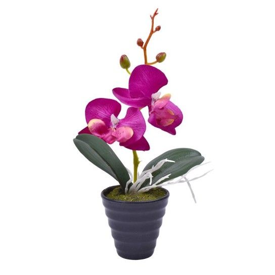 PLANTA C/ VASO 2647-101 CX144 PLANTA C/ VASO 2647-101 CX144