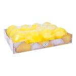 CAIXA PORTA LIMAO L-00395 CX36
