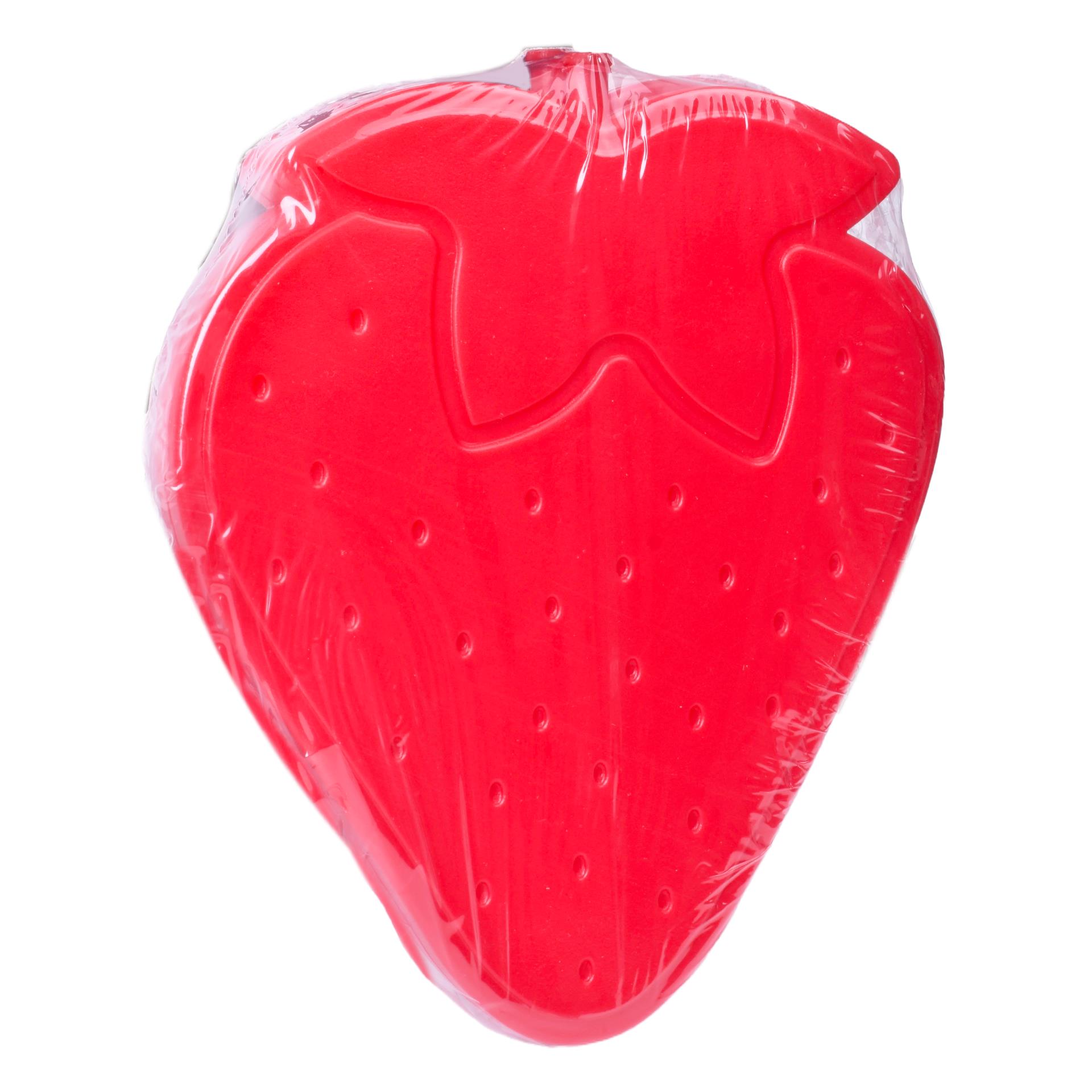 ACUMULADOR GELO FRUTAS 2UN 820-315 CX24 ACUMULADOR GELO FRUTAS 2UN 820-315 CX24
