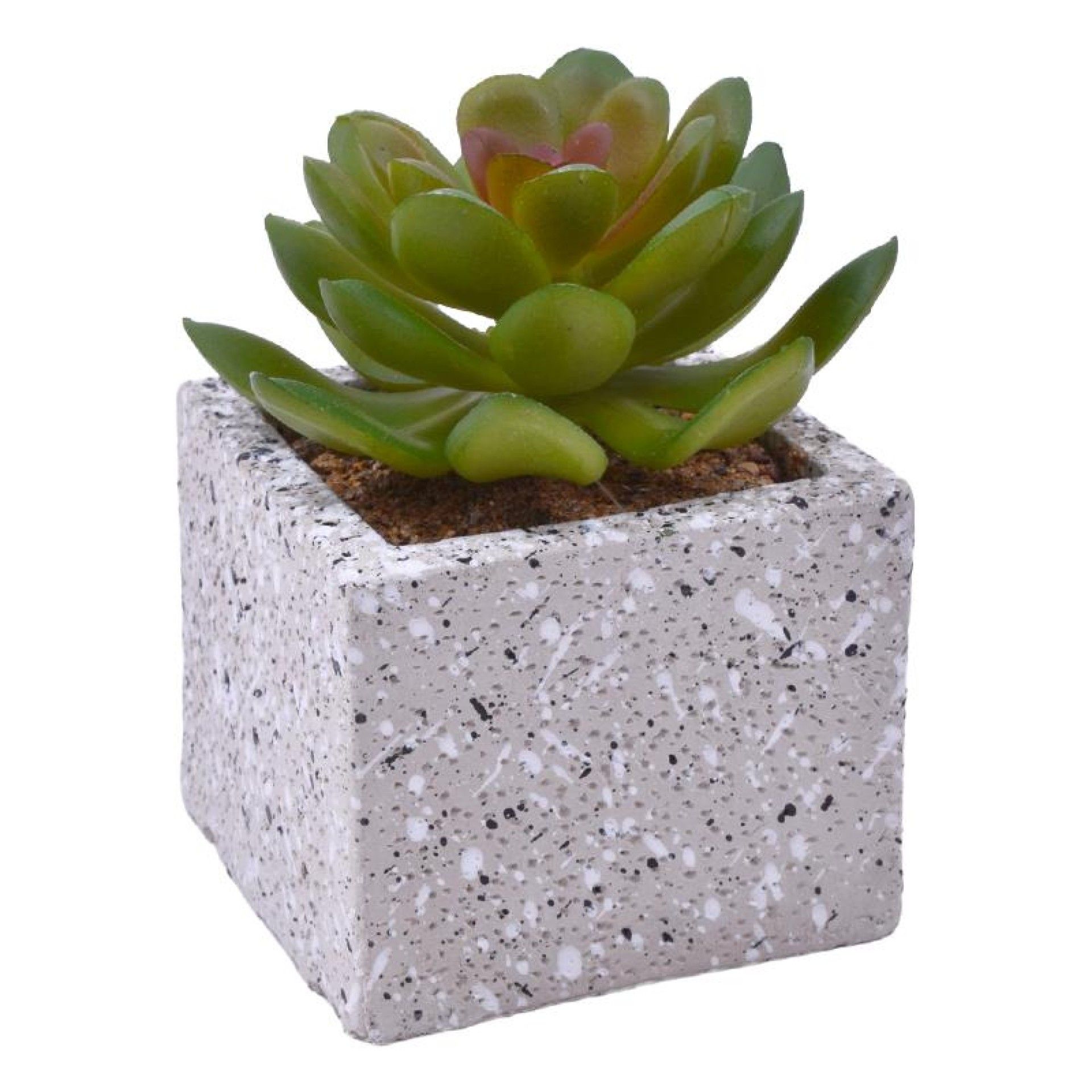 VASO C/CATO 6.4X6.3X5.2CM 2639-205 CX96 VASO C/CATO 6.4X6.3X5.2CM 2639-205 CX96