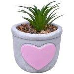 VASO DEC 2574-006 CX72