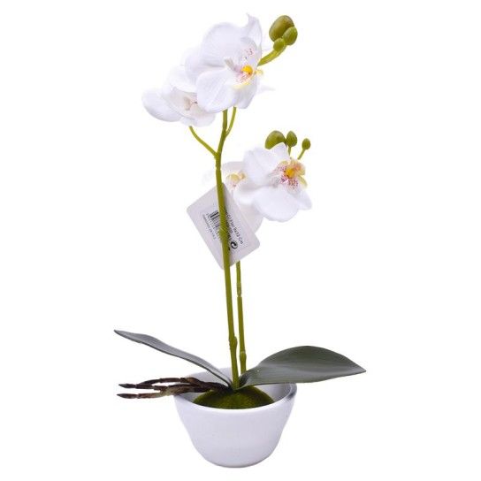 VASO C/FLOR 9X32 2439-035 CX72 VASO C/FLOR 9X32 2439-035 CX72