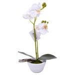 VASO C/FLOR 9X32 2439-035 CX72 VASO C/FLOR 9X32 2439-035 CX72
