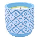 VELA PERFUMADA CINTROLENA/LAVANDA 170G CX4 VELA PERFUMADA CINTROLENA/LAVANDA 170G CX4
