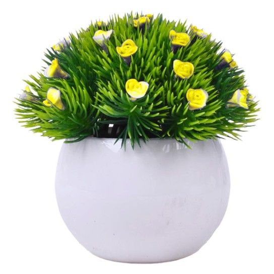 PLANTA C/ VASO 2440-021 CX144