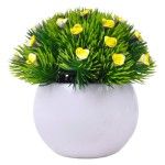 PLANTA C/ VASO 2440-021 CX144