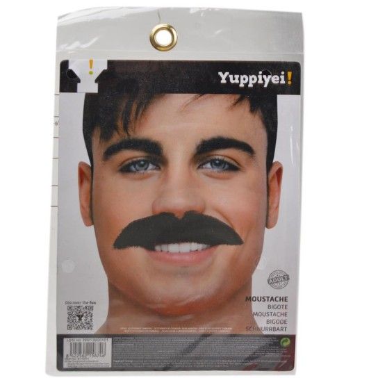 CARNAVAL BIGODE