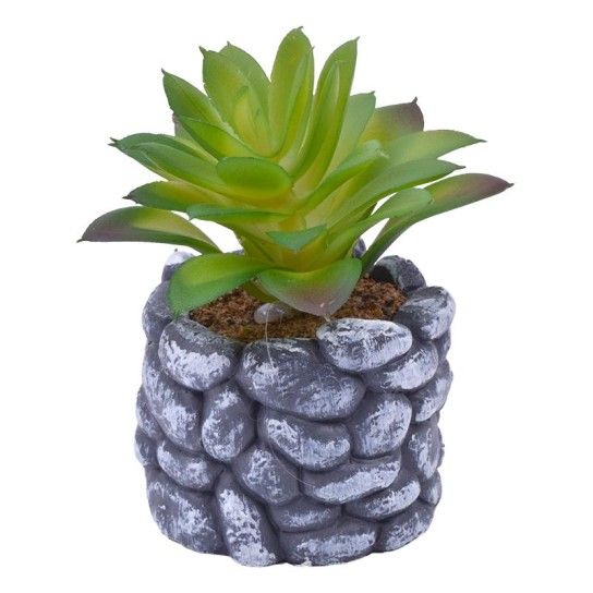 VASO C/CATO 6.5X5.5CM 2639-200 CX96 VASO C/CATO 6.5X5.5CM 2639-200 CX96