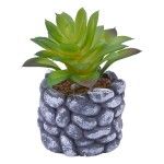 VASO C/CATO 6.5X5.5CM 2639-200 CX96