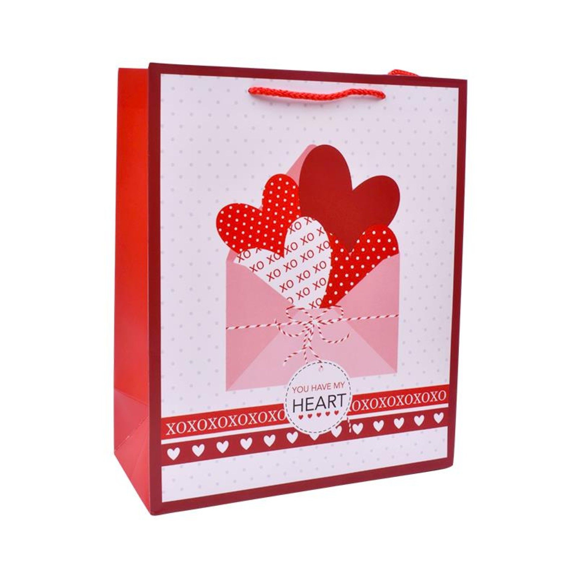 SACO 18X23X10CM 2419-503 CX360 SACO 18X23X10CM 2419-503 CX360